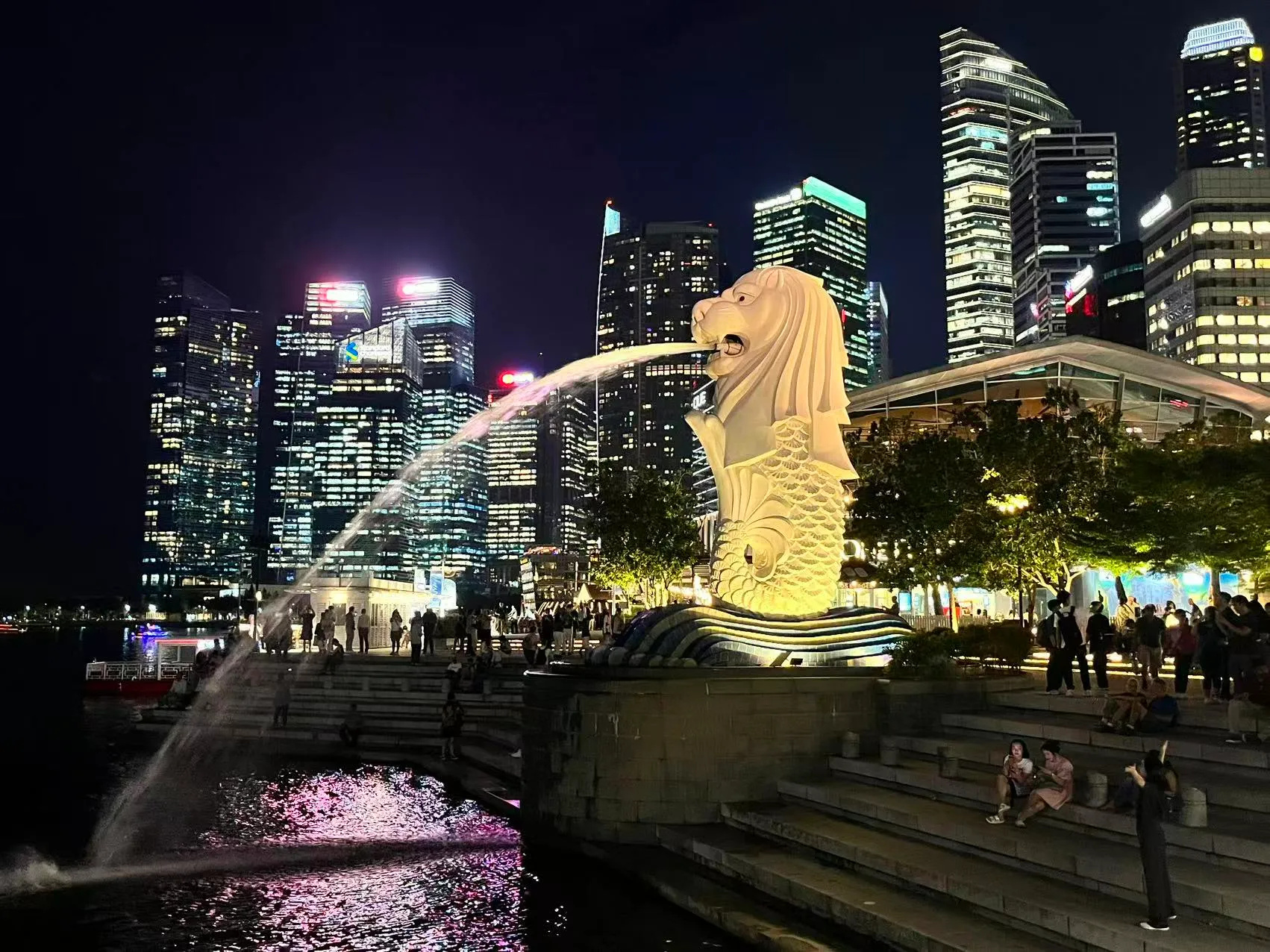 Our water tube waste heat recovery steam boiler running well in Singapore