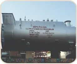 largest boiler manufacturer in the world products