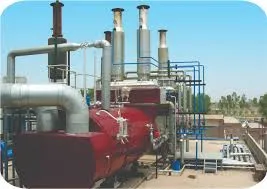 famous steam boiler economizer