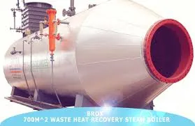 thermal oil boiler for food plant manufacturer